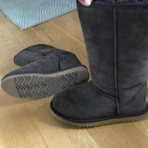 Tall Chocolate Uggs